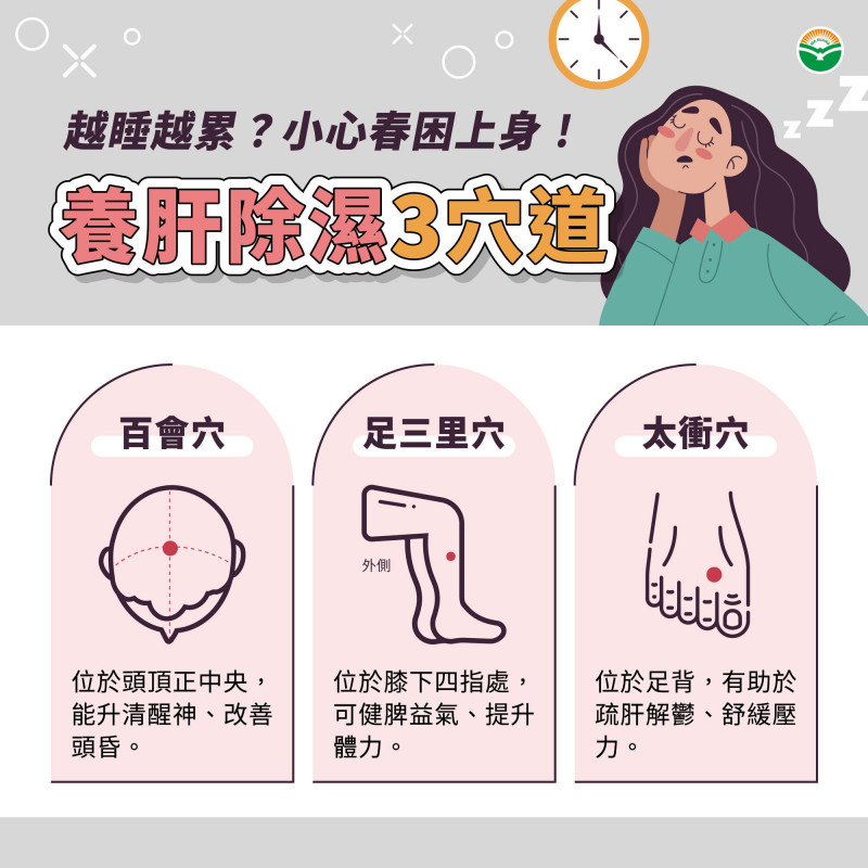 告別「春睏」：中醫揭身體失衡警訊，養肝除濕是關鍵，助你擺脫越睡越累