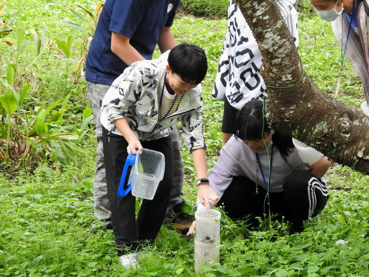 奧萬大暑期生態體驗營隊開跑：森林探險家、野FUN營，深度素養教育限量報名