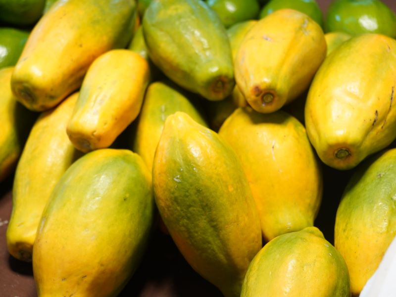 嘉義農產「鮮」攻臺北花博！高山茶、香蕉、木瓜直送，食農教育玩轉茶香