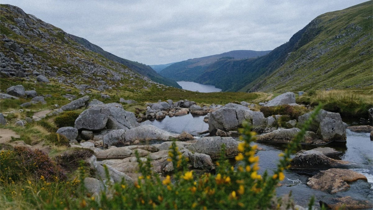 Google 力拚 2030 水資源正效益：新竹頭前溪專案成全球永續亮點