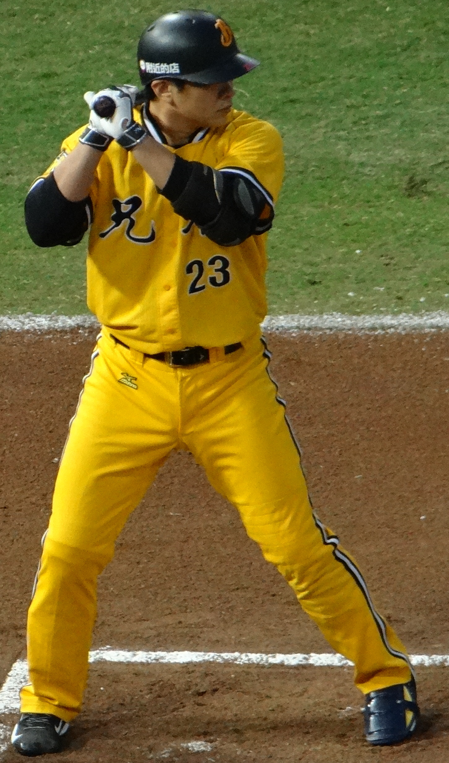 中職37年賽季揭幕：六隊戰力革新佈局，誰能問鼎年度總冠軍？