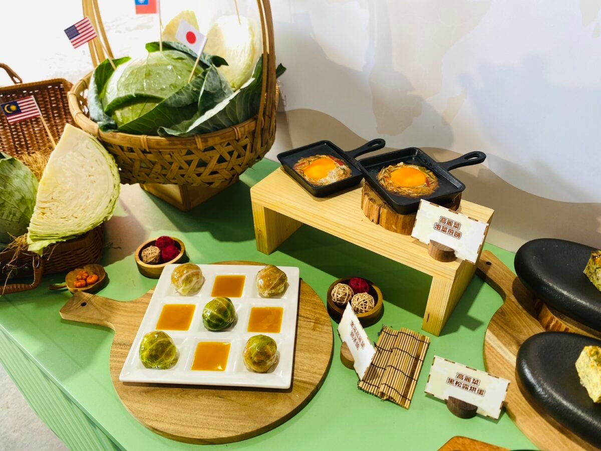 臺灣甘藍冷冬淬鍊品質躍升：外銷版圖擴及七國市場潛力強勁