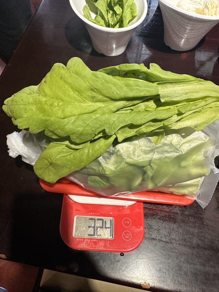 台北市蔬果農藥殘留警報！錢都、三媽入列，逾2成不合格率揭示餐飲食安隱憂