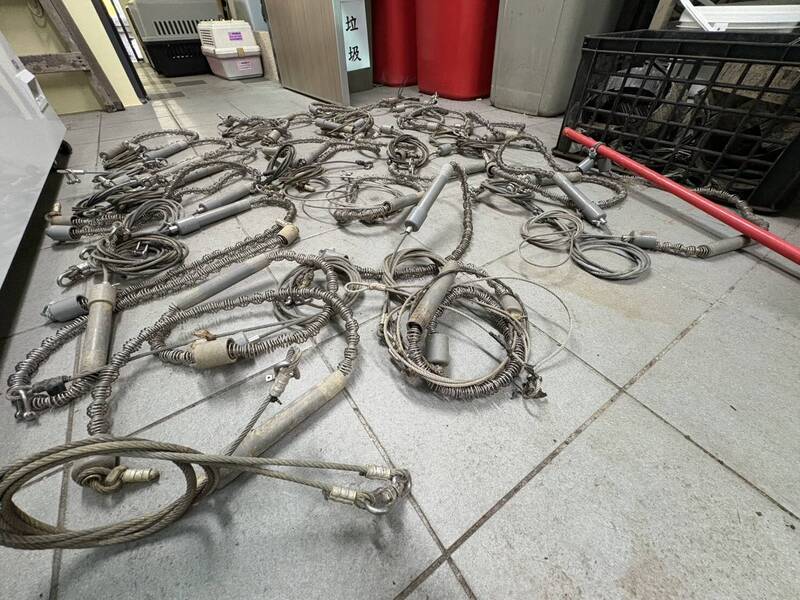 新北祭出「山豬吊」檢舉獎勵最高150元，遏止犬貓截肢悲劇，守護山林生態