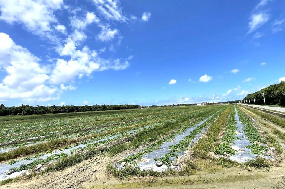 高雄白埔產業園區都計發布：半導體聚落啟動，橋頭岡山房市迎4字頭榮景