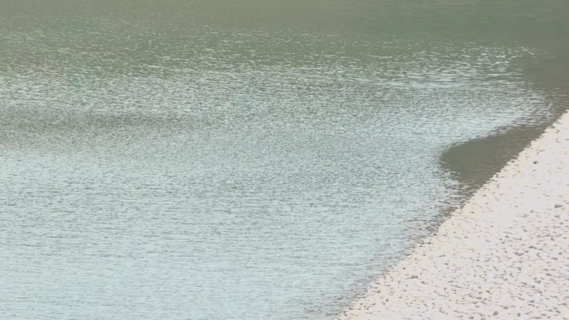 75年最旱冬季！水情黃燈亮新竹，石門水庫啟動「神救援」穩定供水