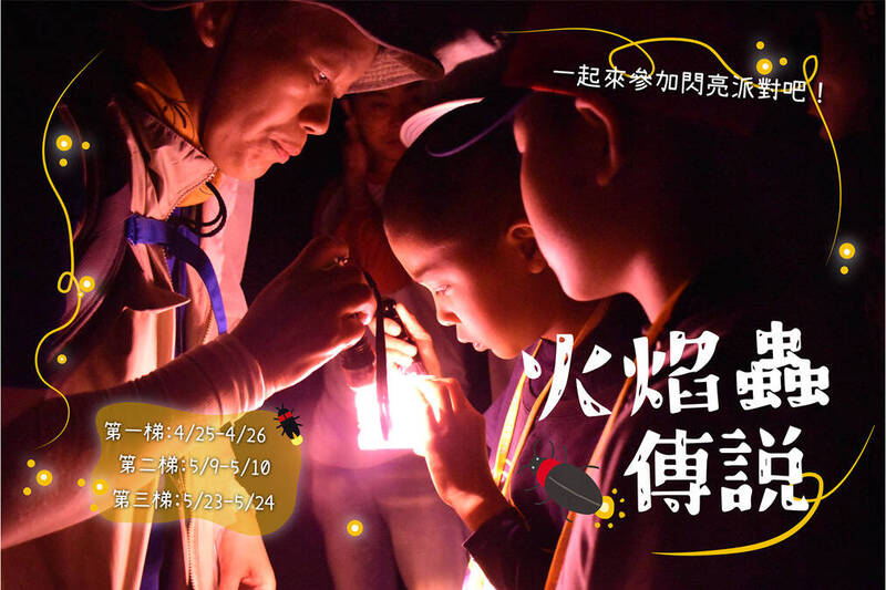 東眼山限定！「火焰蟲傳說」生態賞螢2日遊，深度體驗與親子共學