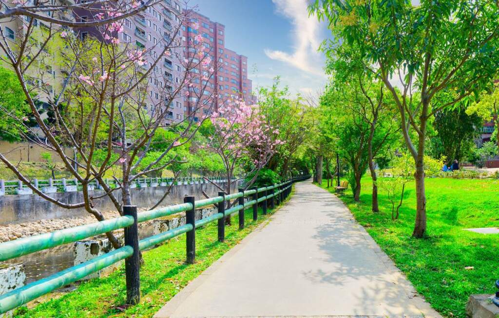 蘆竹大坑溪華麗變身：5500萬打造城市綠色廊帶，串聯低碳生活圈願景