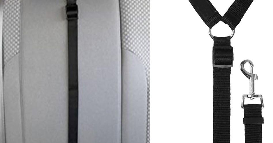 MKUTO寵物安全帶：數據揭密毛孩行車安全，告別車內暴衝危機！