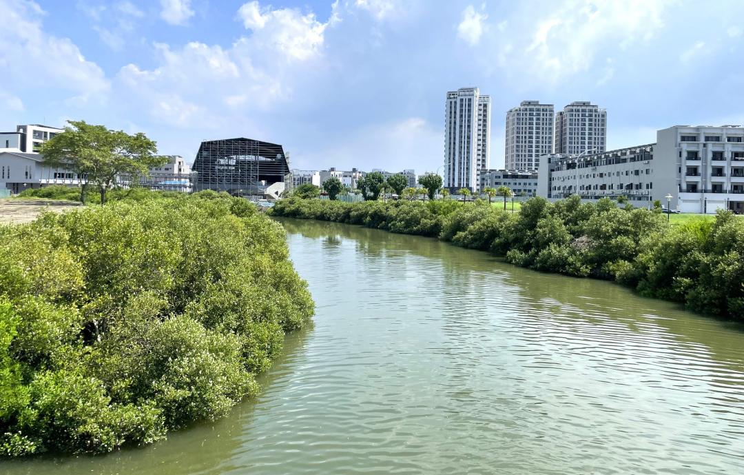 地價稅優惠恐失！戶籍遷出後「重設籍」 稅務局揭4倍追繳風險與申請關鍵