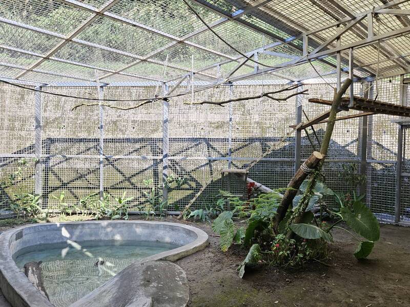 北海岸生物守護升級：新北三芝動物之家活化，打造野生動物救傷收容新典範