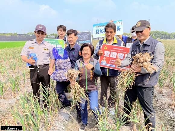 雲林莿桐蒜頭盛產期竊案數據引關注：「護蒜專案」啟動，警民聯防護農產