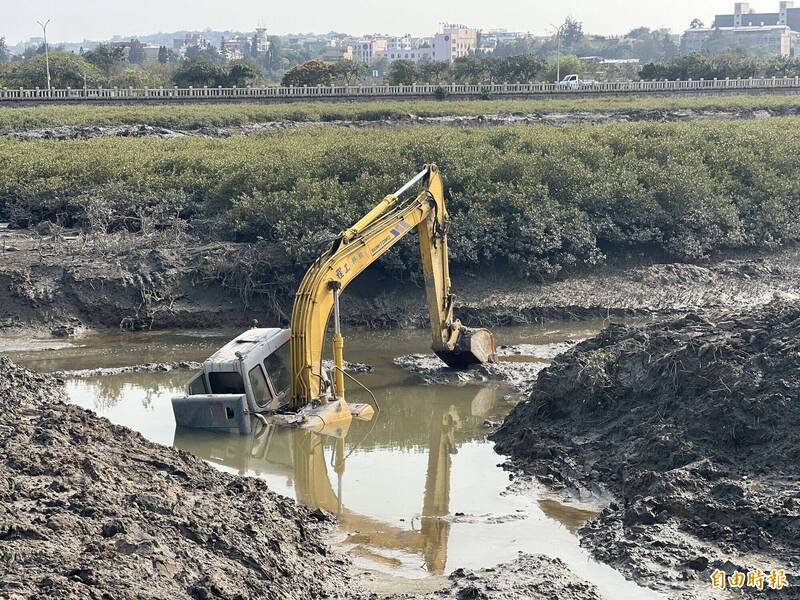 金門「濕地殺手」互花米草清除戰：怪手陷泥沼，揭示生態入侵治理艱鉅挑戰