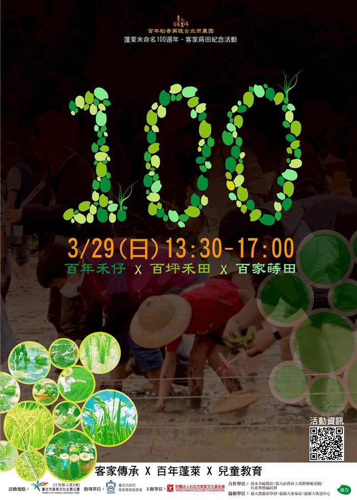 蓬萊米百年傳奇：客家公園百戶蒔田，城市稻香共譜永續新篇