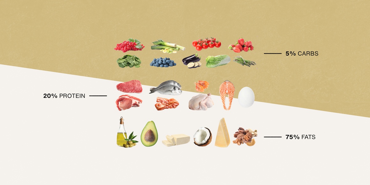 生酮飲食如何穩定腦部能量？最新研究揭示減緩癲癇發作的關鍵機制