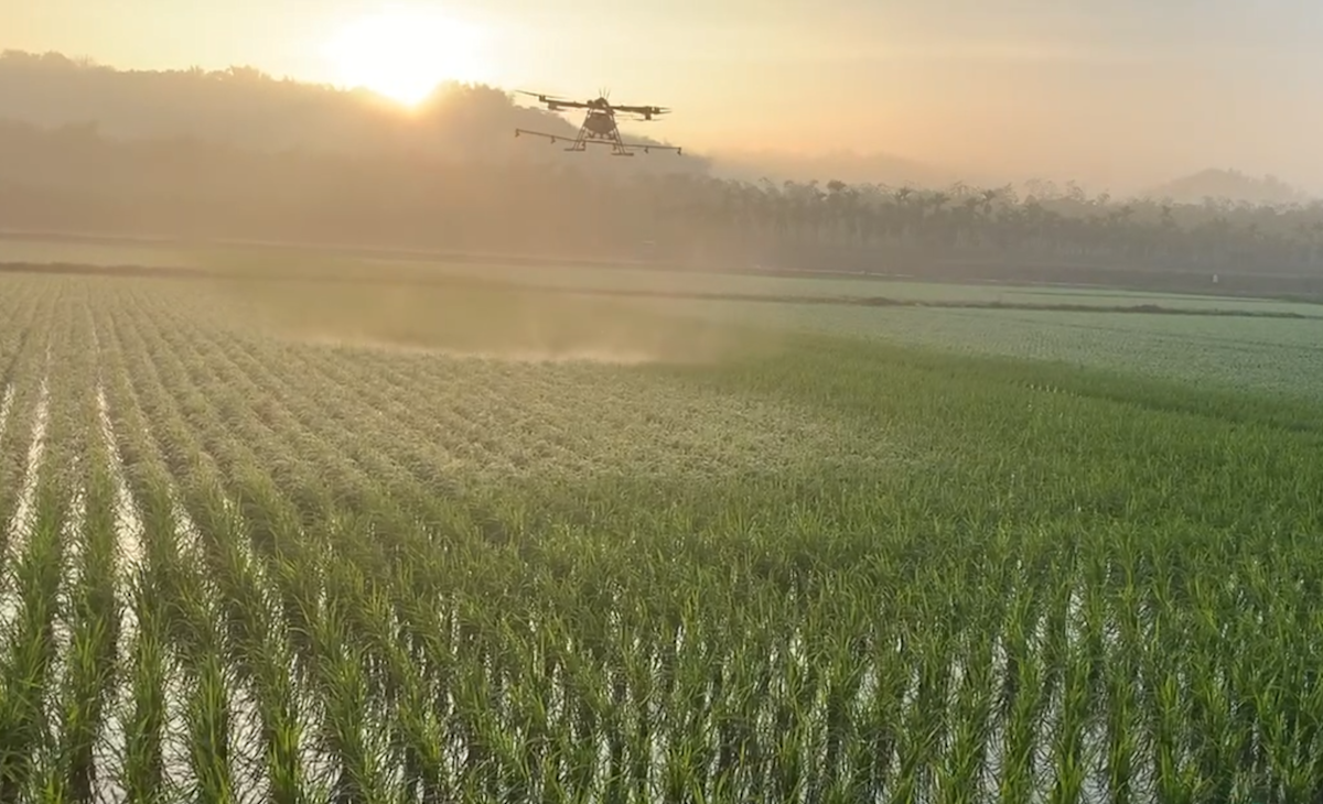 植保機農灑卡關：民航局「承諾跳票」 農業現代化陷困境？