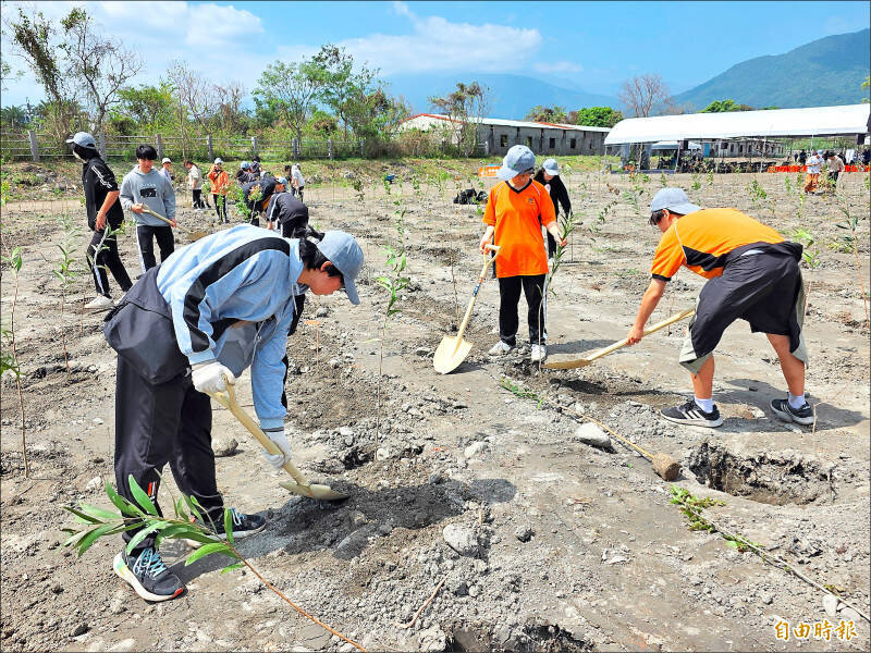 「植樹月」轉型！企業力挺永續存摺：台灣自然碳匯與生態韌性新局