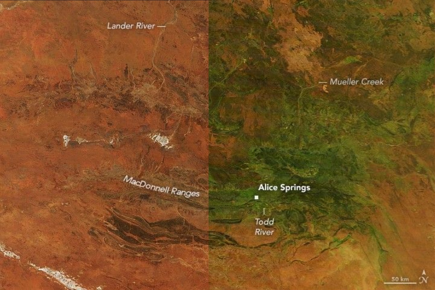 澳洲「紅土中心」罕見轉綠：百年強降雨創紀錄，生態奇景背後潛藏洪患危機