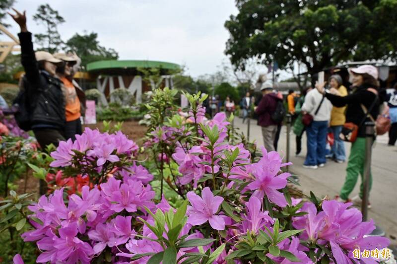 命理專家揭示：2026年4月三生肖運勢強勁，貴人助攻事業財富全面開花