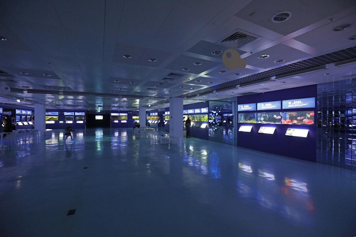 臺灣「觀賞魚王國」縮影：屏東觀賞水族展示廳的科技、教育與生態魅力