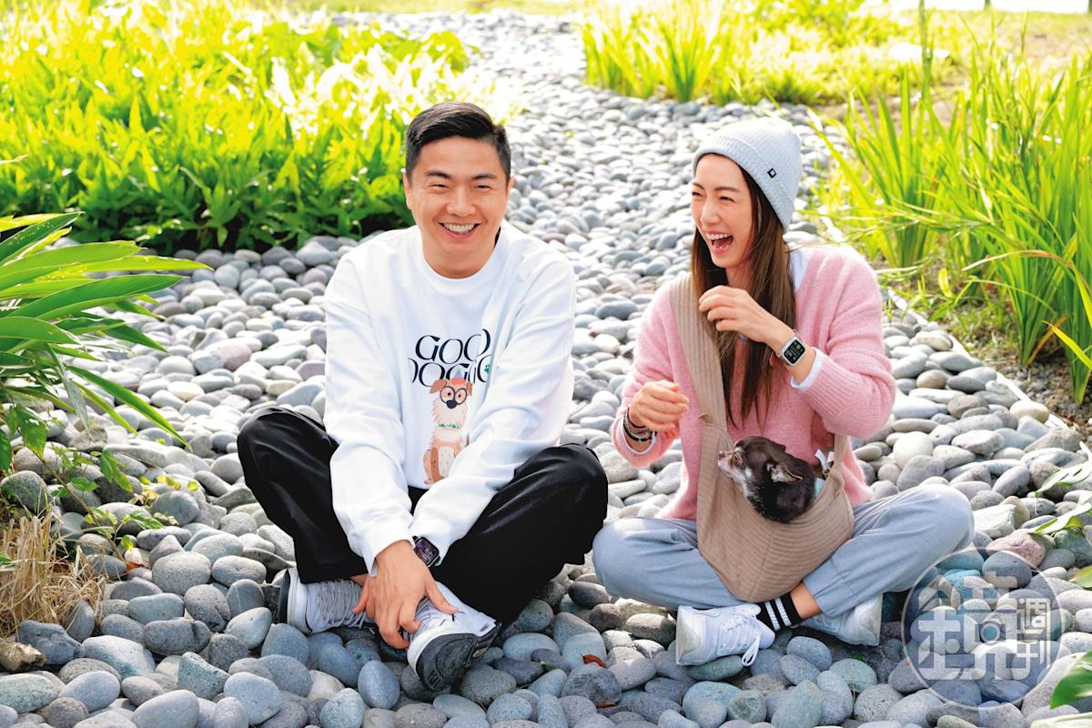 林韋君愛犬「Brownie」暴衝吠叫成隱憂？熊爸揭吉娃娃社會化關鍵，明星主人育犬心路大公開