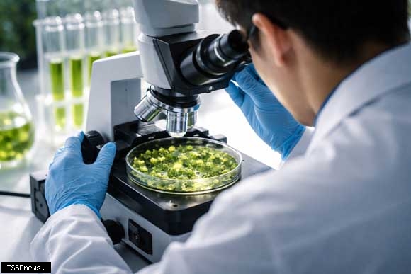 ACMB植物藥專利重磅收購：農業巨擘如何華麗轉身生技新賽道？