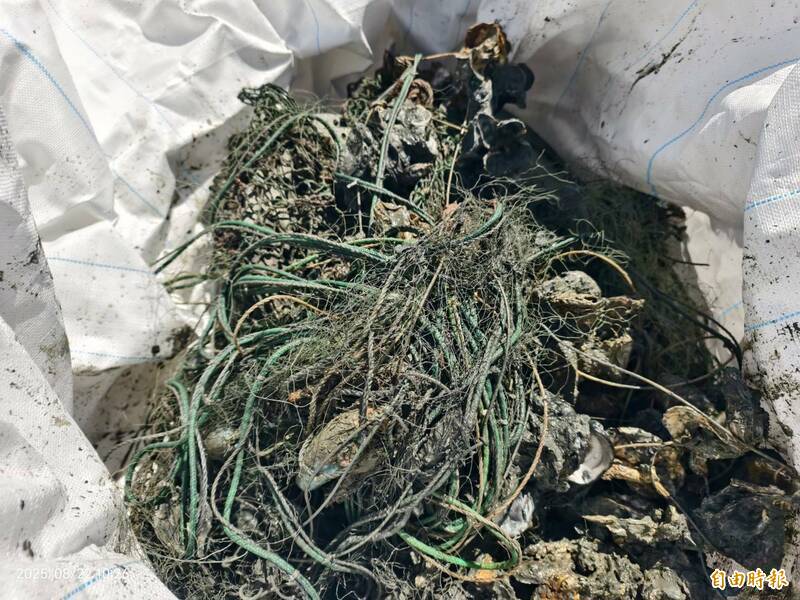 海底「死亡長城」清不完？立委楊曜怒揭預算黑洞：評估報告竟比打撈多六倍！