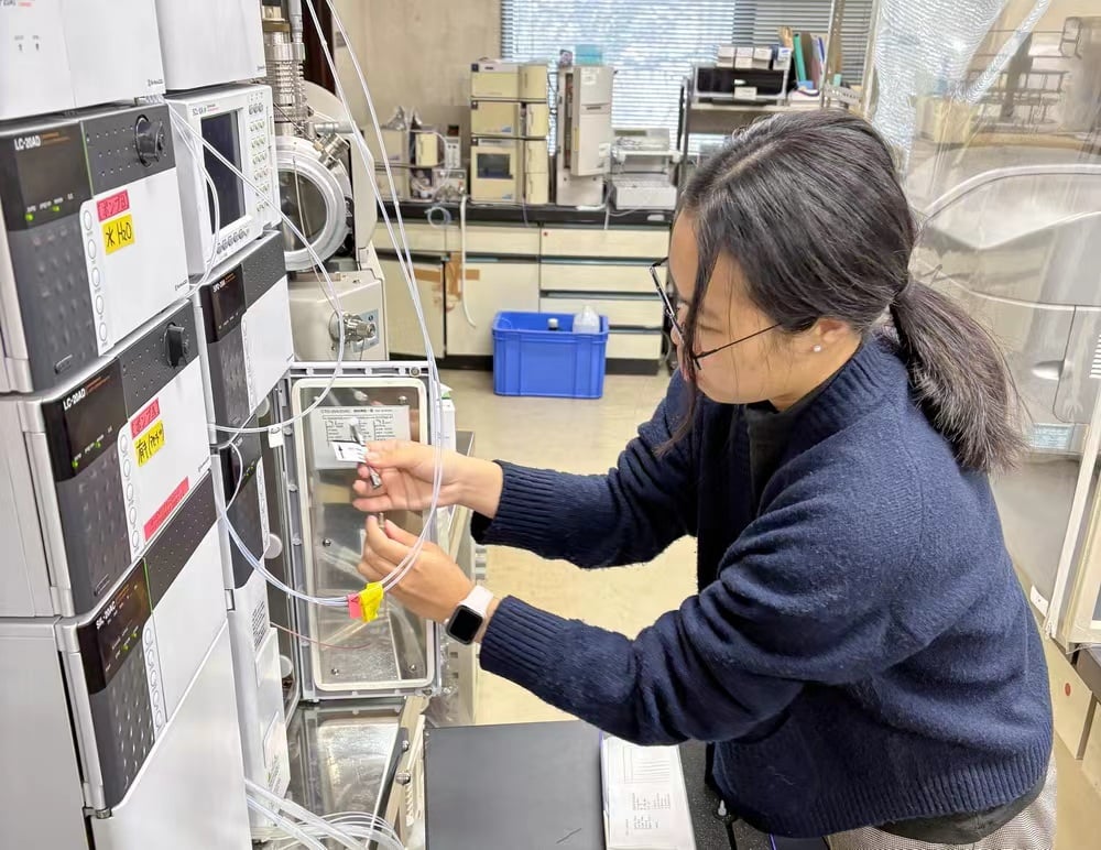 嘉大、東京大學跨國研究：農業廢棄物化感作用，開創永續稻作新紀元