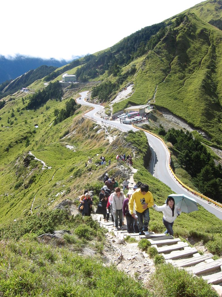漫步雲端花海：合歡山杜鵑花季二日遊，體驗高山生態與人文饗宴