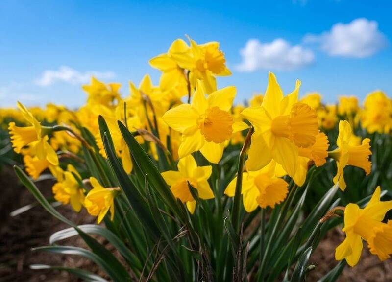 4月天象變動！天王星輪迴入雙子座，3生肖3星座運勢飆升