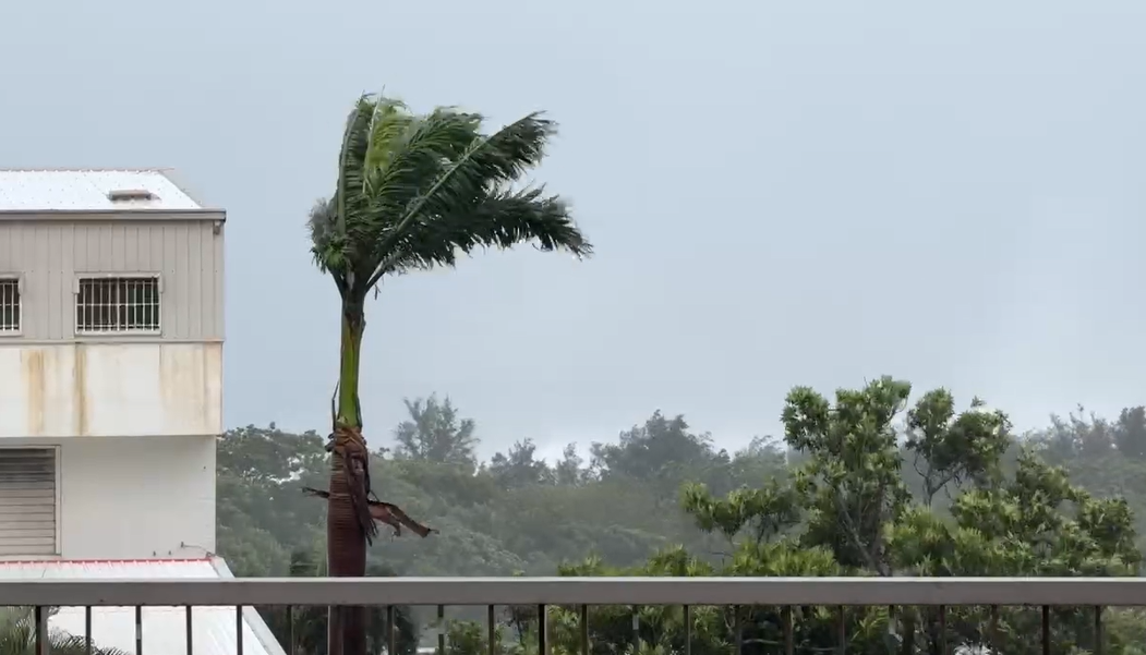 強風來襲！氣象署示警桃竹東馬8級陣風，通勤與戶外活動應變指南