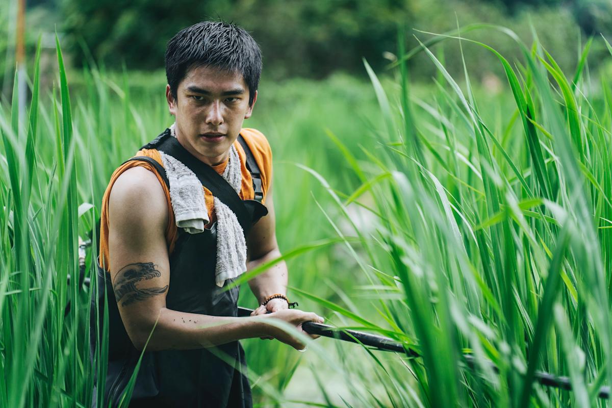 曾敬驊《失樂園》挑戰勞動極限 茭白筍田灑農藥全身傷痕纍纍