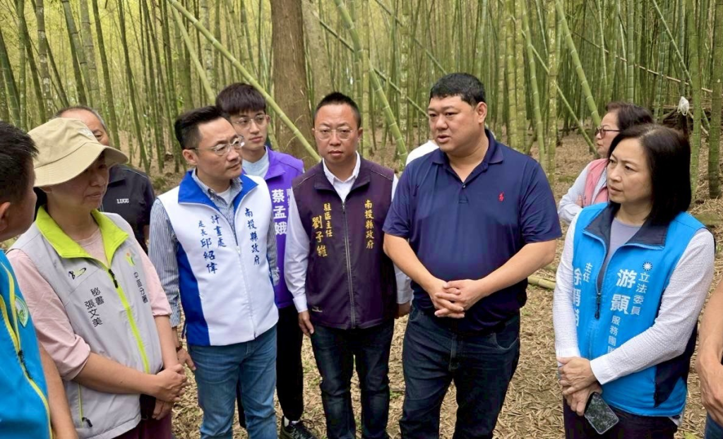 南投茶農哭哭！春茶減產6成 孟宗竹筍「縮水」災損破億