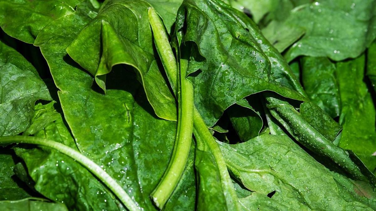 2026年12大高農藥殘留蔬果排行榜出爐 菠菜、草莓入列