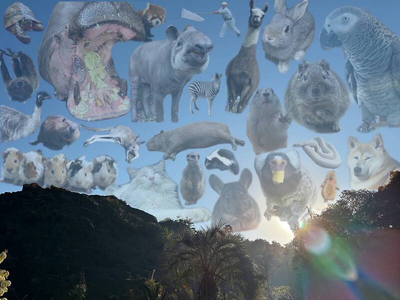 日本動物園飼育員休假腦海畫面瘋傳 600 萬人笑翻：園長變身昆蟲