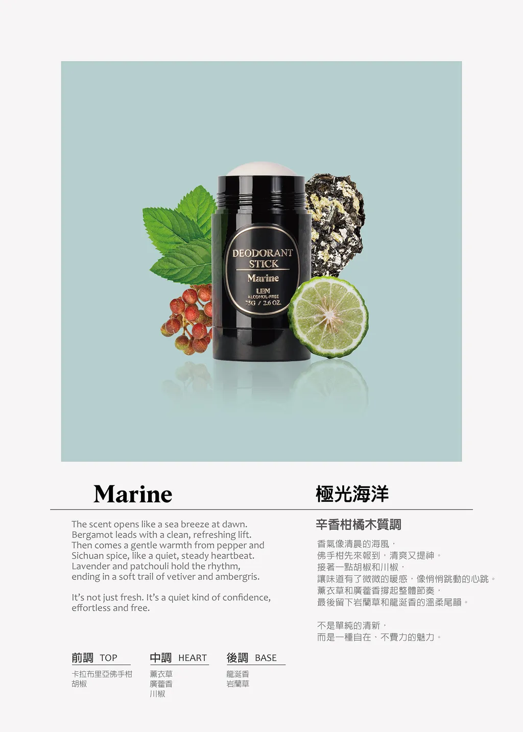 LEN 嵐 產品線解析：從草本洗髮露、控油抗痘噴霧到專業造型梳的市場觀察