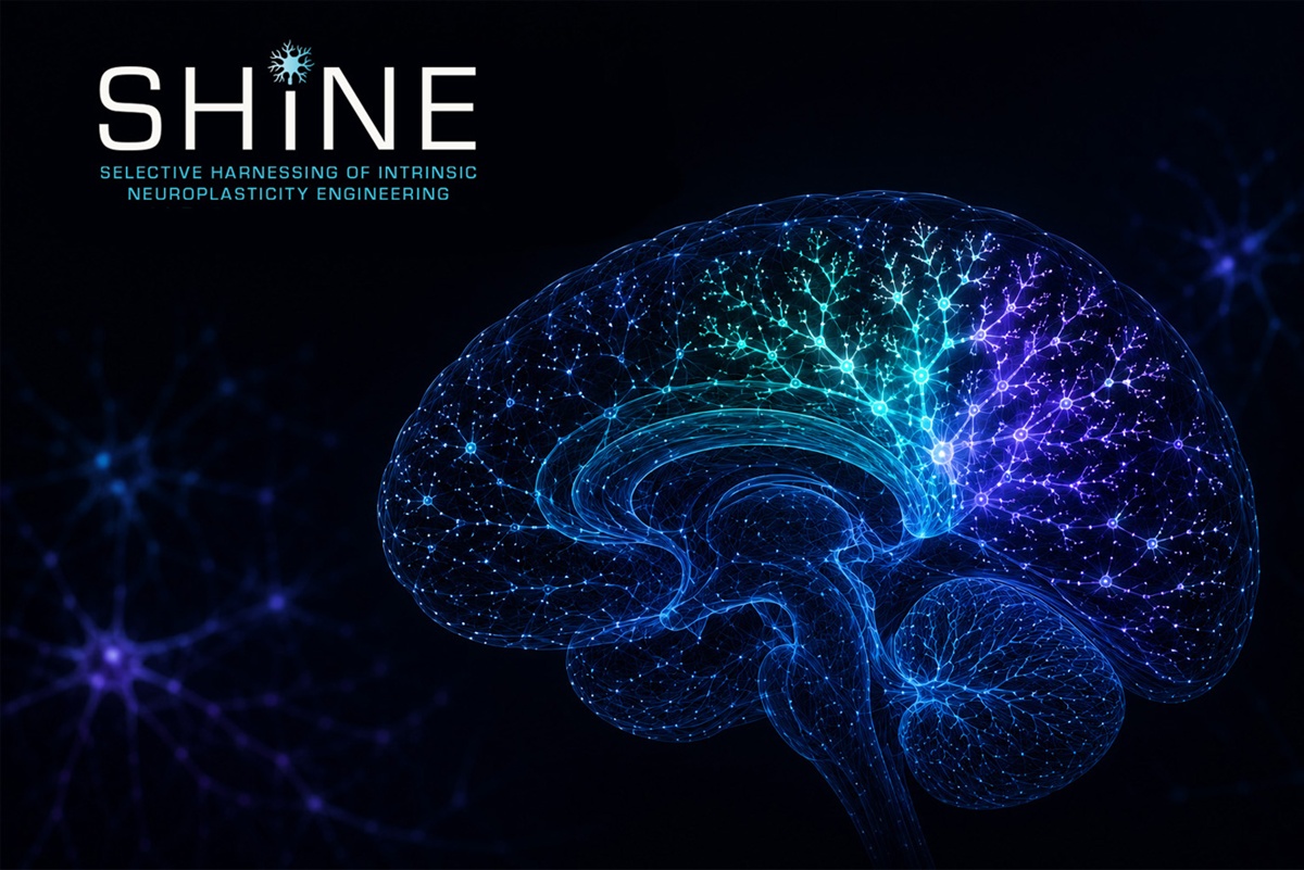 美軍腦傷危機！DARPA SHINE計畫如何精準啟動大腦自癒力？